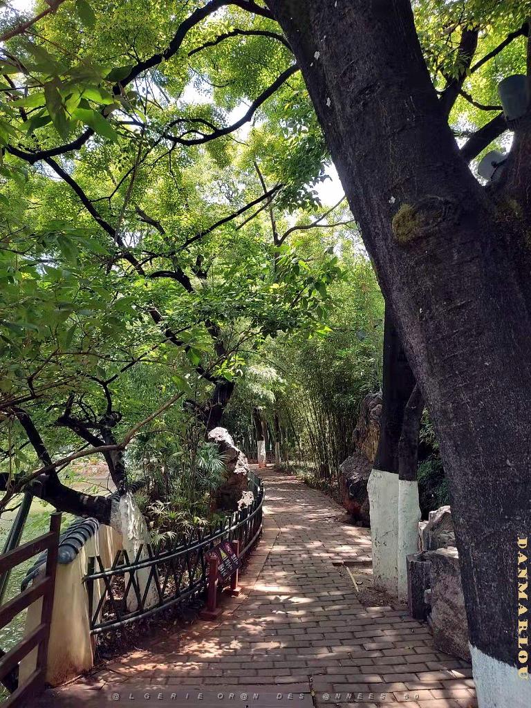 Kunming - Parc Cuihu - 39.jpg
